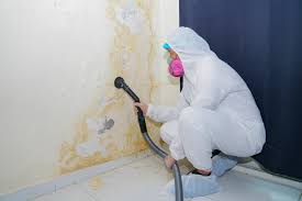 Mold Odor Removal Services in Indian Shores, FL